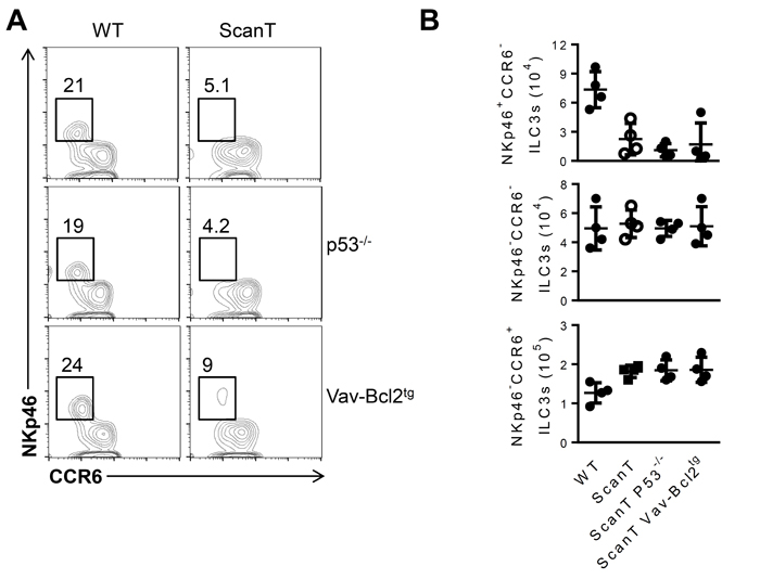 Transgenic Bcl2 expression or p53-deficiency does not revert the impaired generation of NKp46