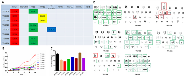 The genomic signature, proliferation capacity and chromosome abnormality of DIPG cell lines.