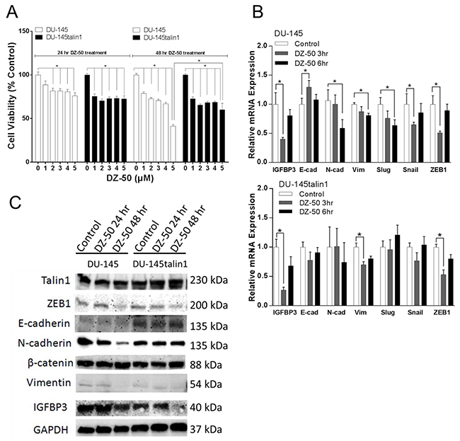 Effect of DZ-50 on prostate cancer cell death and EMT.