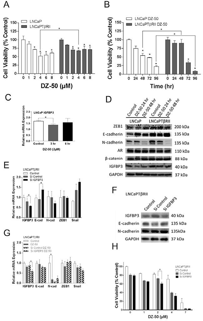 Functional involvement of IGFBP3 in the reversion of EMT to MET in prostate cancer cells.