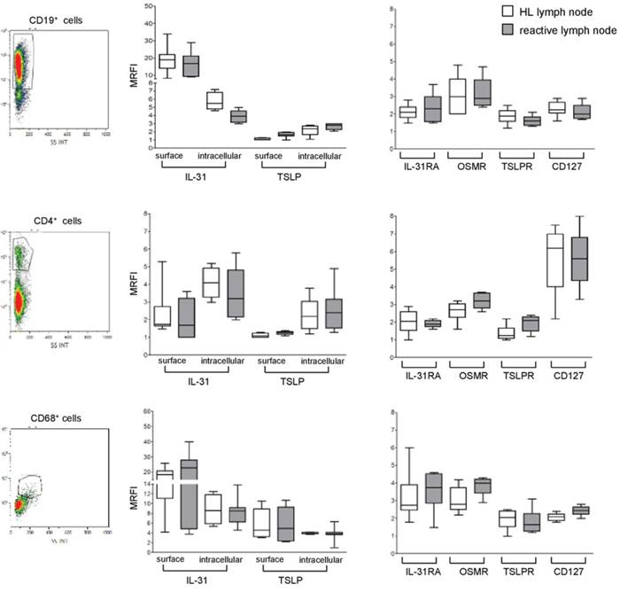 Expression of IL-31, TSLP and their receptors in lymphoid cells populating HL and reactive lymph node microenvironment.