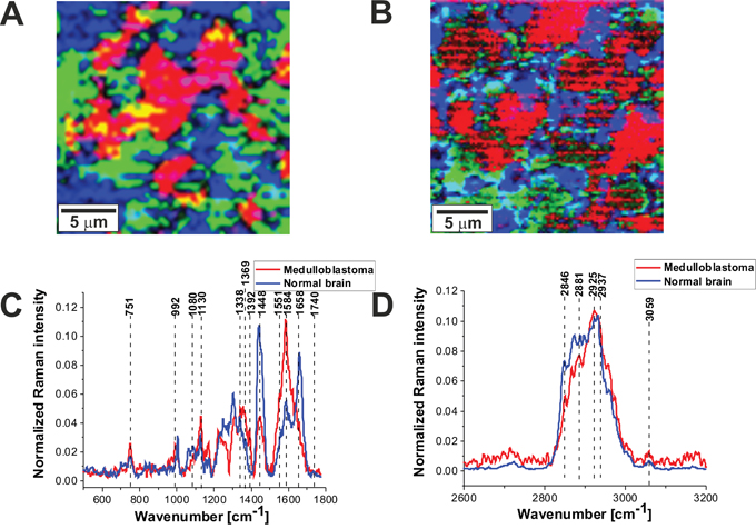 Figure 6: