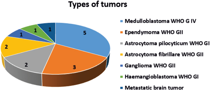 Chart 1: Types of brain tumors.