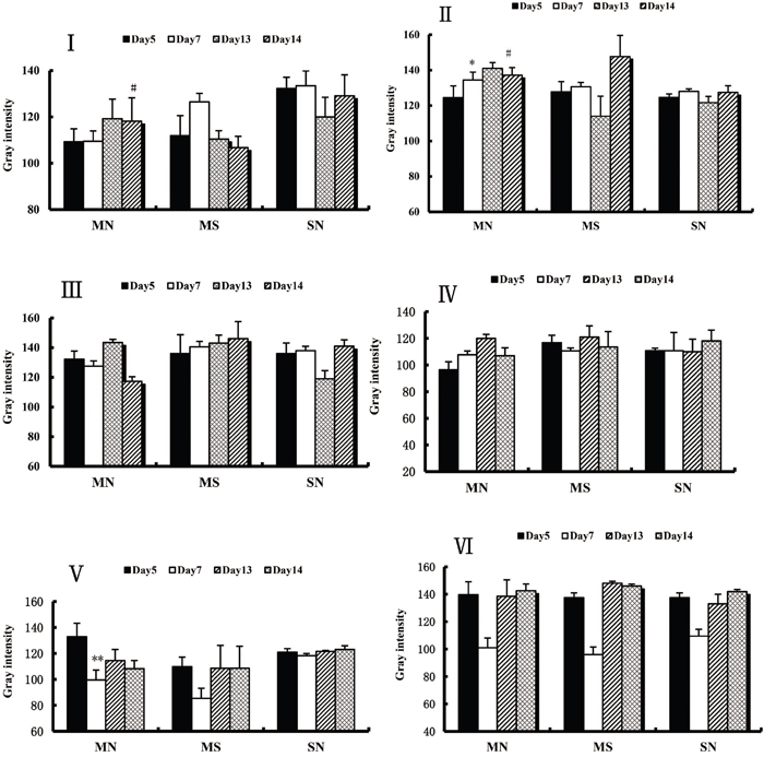 Various brain regions PKA and kappa opioid receptor expression was seized at each time point of the CPA.