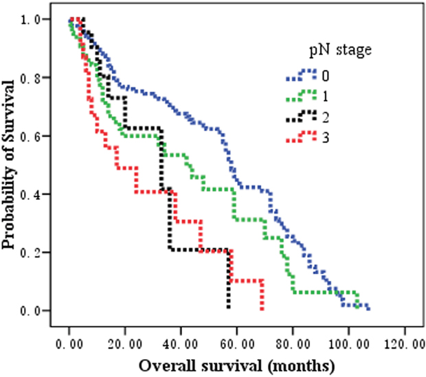 The prognostic significance of pN stage on overall survival in patients with esophageal squamous cell carcinoma after esophagectomy.