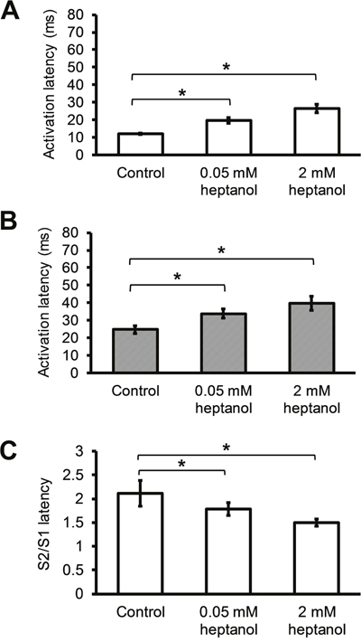 Figure 5: