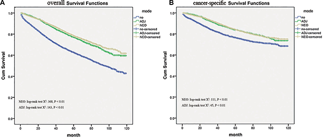Kaplan&#x2013;Meier survival curves showing overall survival and cause-specific survival (CSS) differences among Neo-Adjuvant radiation (NEO), Adjuvant radiation (ADJ), and No radiation (NO) cases.