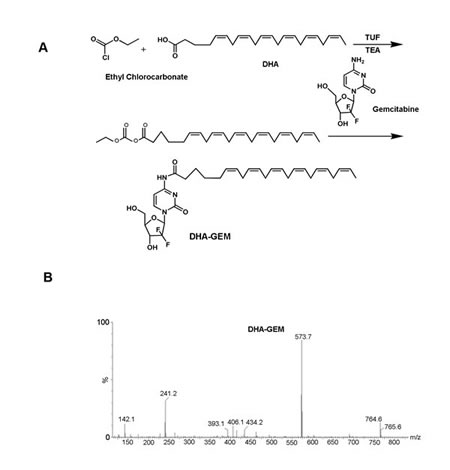 A, synthetic scheme of DHA-GEM, through modification of the carboxy group of DHA with the the primary amine group of gemcitabine.