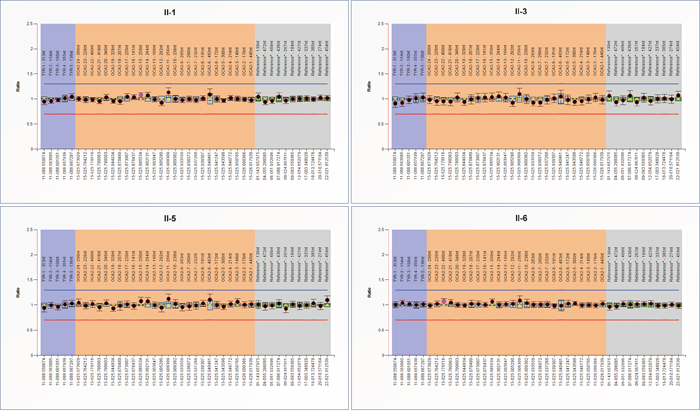 MLPA analysis of TYR and OCA2.