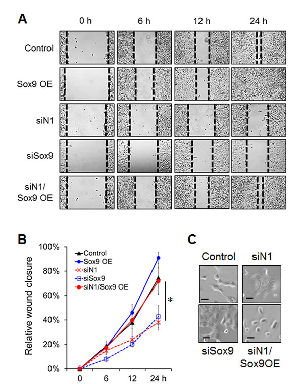 Figure 5: