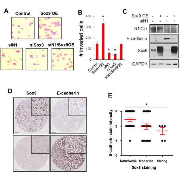 Figure 6: