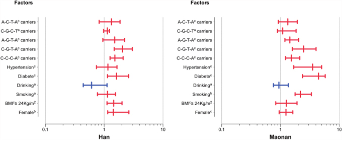 The stratified risk factors and MVK/MMAB haplotypes associated with dyslipidemia in the Han and Maonan populations.