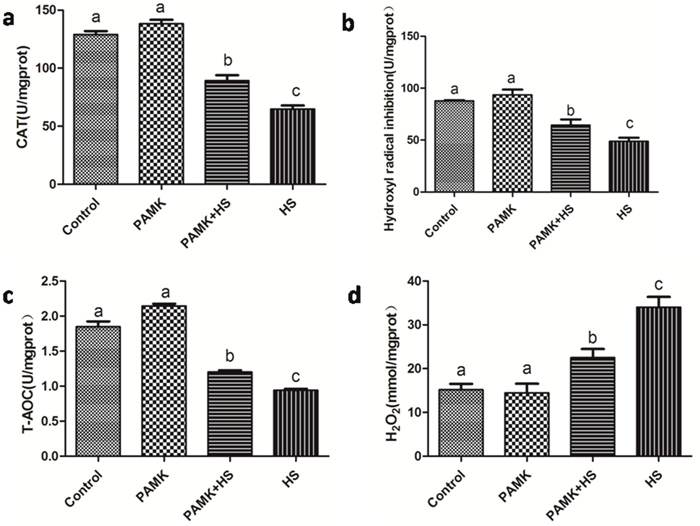 Changes of CAT activities, T-AOC, H2O2 contents and &middot;OH inhibition in the chicken spleen.