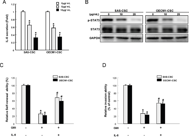 GMI treatment represses IL-6/STAT3 signaling of OCSC.