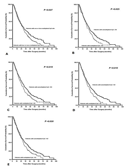 Kaplan-Meier survival curves comparing months of survival in gastric cancer patients are shown for (A) methylated CpG site count of PAX5 promoter, (B) methylated status of CpG -236, (C) methylated status of CpG -183, (D) methylated status of CpG -162, and (E) methylated status of CpG -152.