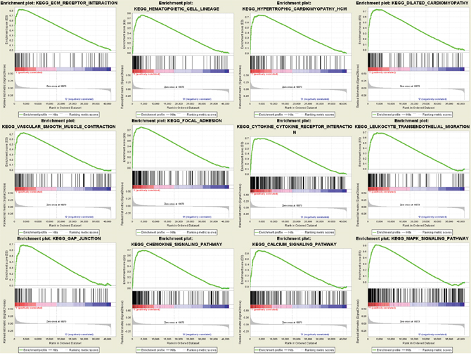 Gene set enrichment analysis (GSEA) analysis for gene sets related with COL3A1 expression.