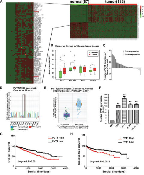 PVT1 was upregulated in ccRCC and correlated with worse overall survival and disease-dree survival in ccRCC patients.