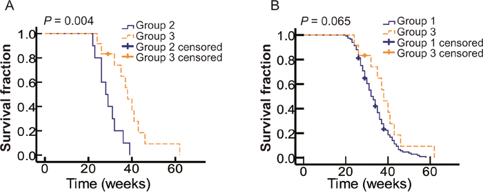 Imatinib increases OS of metastatic OMM patients with c-Kit mutations.