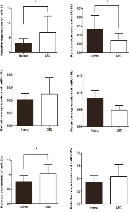 Relative expression of miR-17-92 cluster among CRC tissues and paracancerous normal tissues.