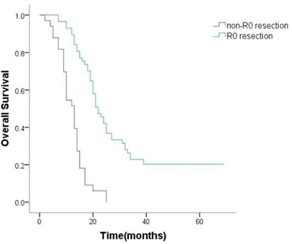 Kaplan&#x2013;Meier analysis of overall survival in patients with or without R0 resection.