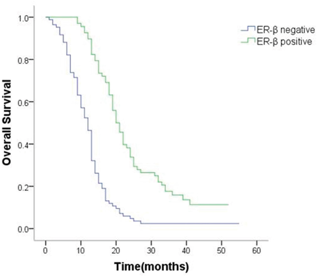 Survival curves of patients with positive or negative expression of ER-&#x03B2;.