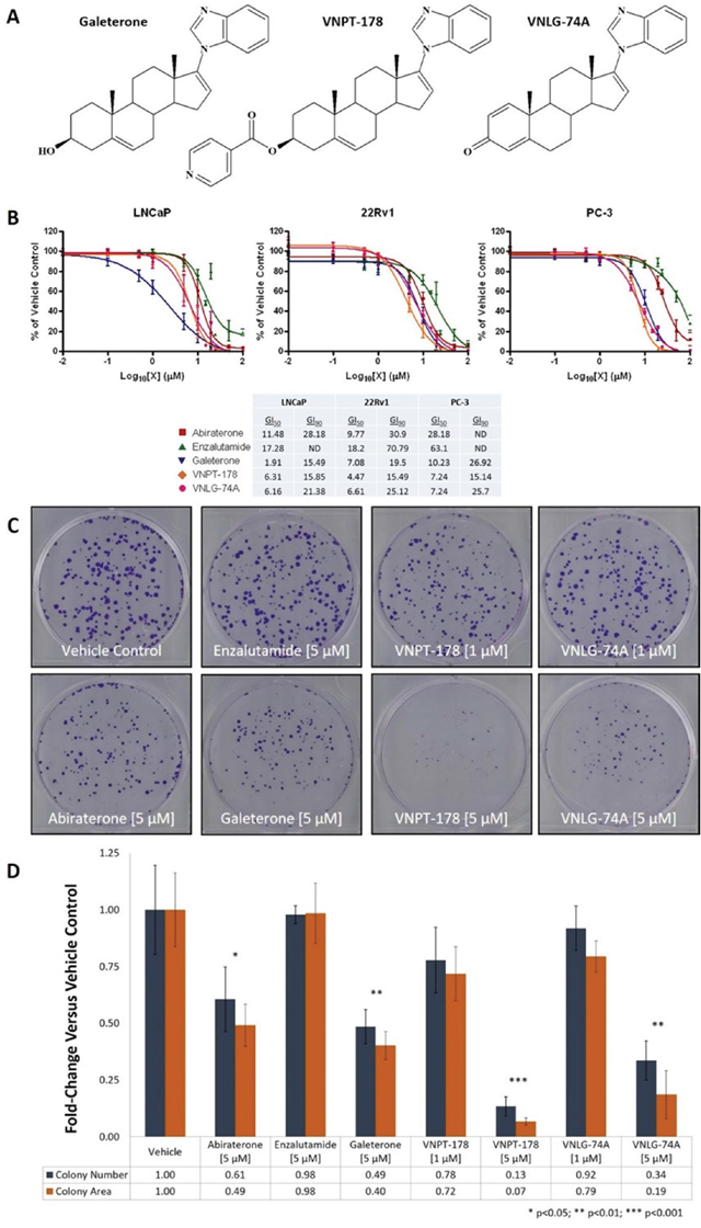 Galeterone analogs VNPT-178 and VNLG-74A inhibit the proliferation of PC cell lines in vitro.