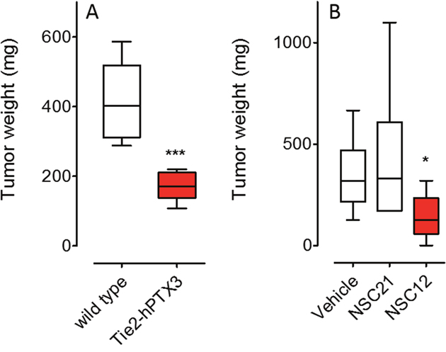 Inhibition of prostate TRAMP-C2 tumor grafts by FGF inhibitors.