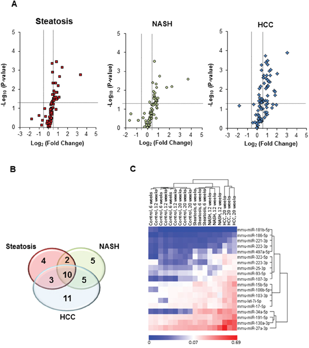 miRNA expression profiles in the livers of STAM mice subjected to NASH-associated hepatocarcinogenesis.