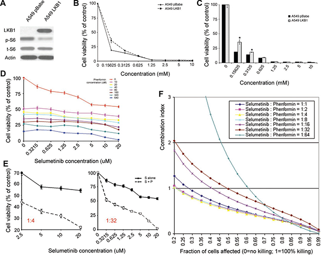 LKB1 inactivation dictates enhanced sensitivity to the metabolic drug phenformin, which enhances the antitumor effect of selumetinib in KRAS-mutant NSCLC cell lines.