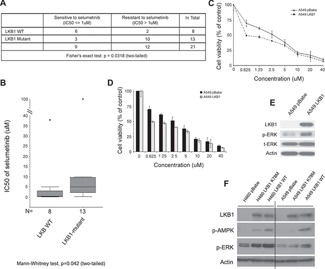 Concomitant LKB1 mutation correlates with selumetinib resistance and decreased level of p-ERK in KRAS-mutant NSCLC.