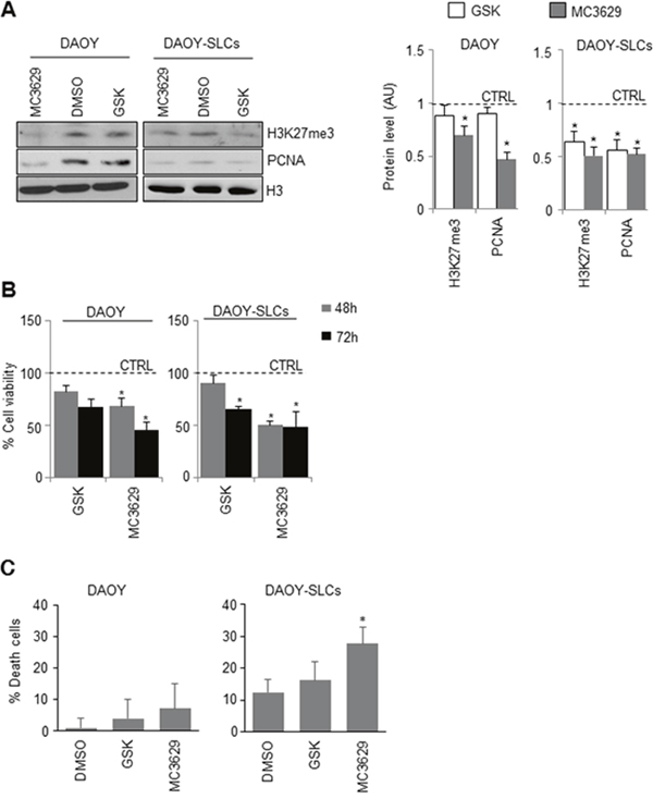 Biological effects of EZH2 inhibition in DAOY cells and DAOY-SLCs.