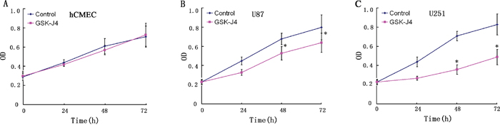 The inhibitory effects of GSK-J4 glioma cells in a time dependent manner.