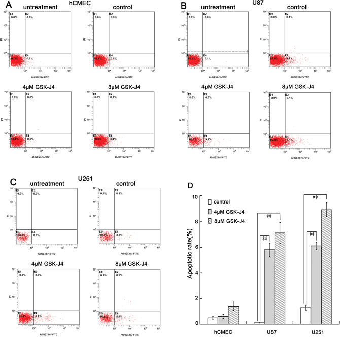 GSK-J4 promotes the apoptosis of glioma cells.