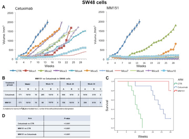 Effects of cetuximab or MM151 on SW48 xenografts.