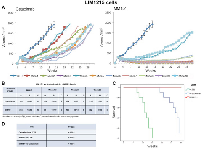 Effects of cetuximab or MM151 on LIM 1215 xenografts.