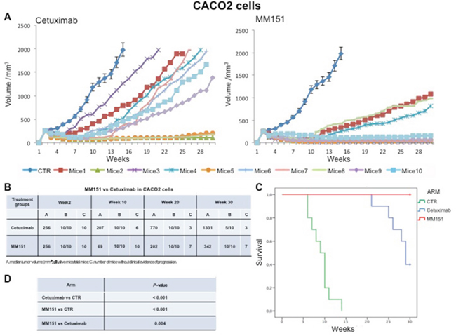 Effects of cetuximab or MM151 on CACO2 xenografts.