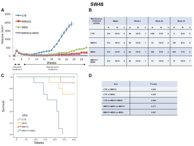 Antitumor efficacy of irinotecan plus MM151 induction therapy followed by maintenance therapy in SW48 xenografts.