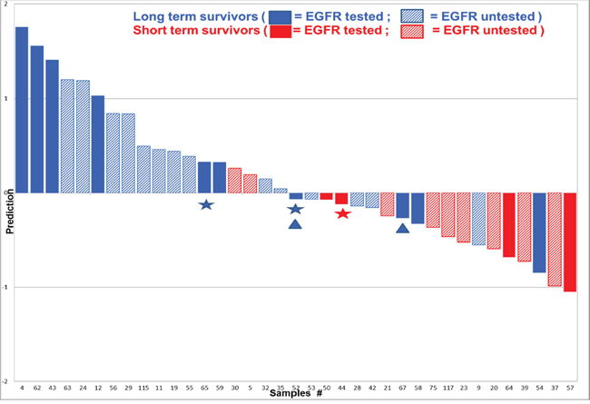 PLS-DA class prediction for TNM stage 1 LuAdCa performed with the 76 selected peptides.