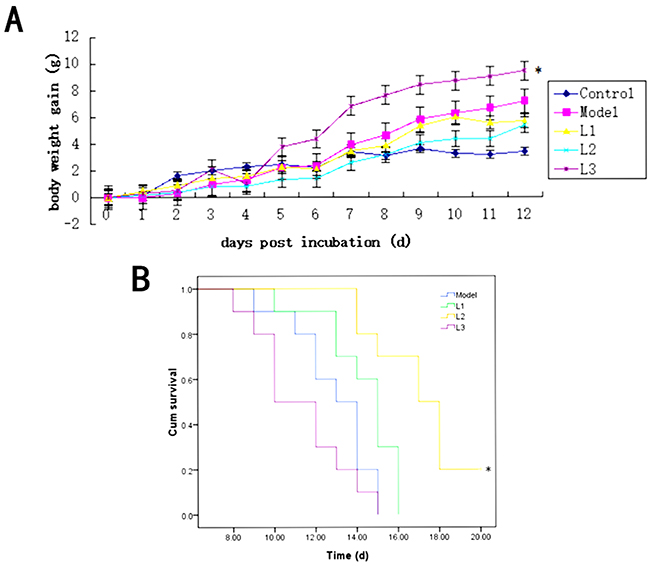 Effects of L1, L2, and L3 on mice body weight and survival.