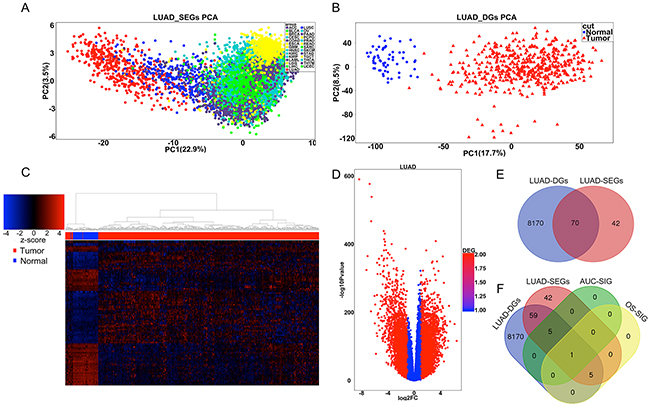 Identification of LUAD-SDGs with diagnostic or prognostic power.