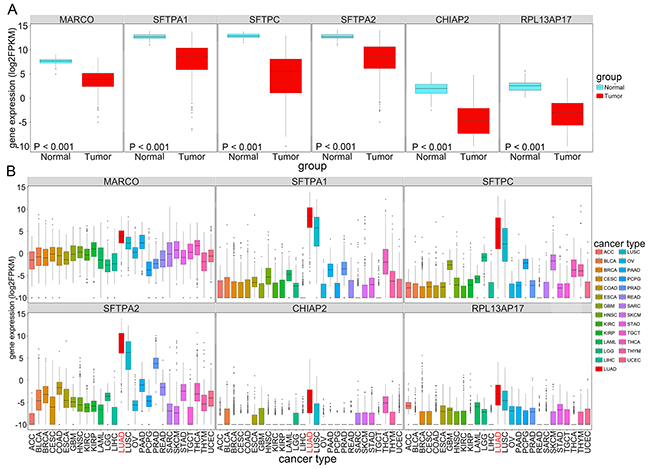 The expression (log2FPKM) of LUAD-SDGs(MARCO, SFTPA2, SFTPA1, CHIPA2, SFTPC, and RPL13AP17) with high diagnostic power in LUAD across 27 types of cancer.
