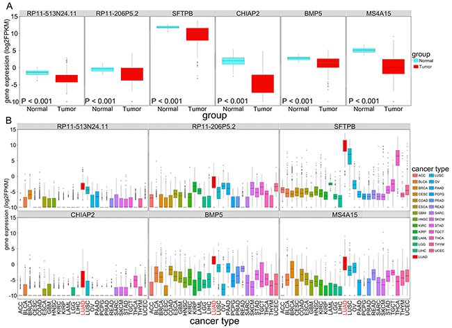 The expression (log2FPKM) of six OS-related LUAD-SDGs(RP11-513N24. 1, CHIAP2, RP11-206P5.2, BMP5, SFTPB and MS4A15) across 27 types of cancer.