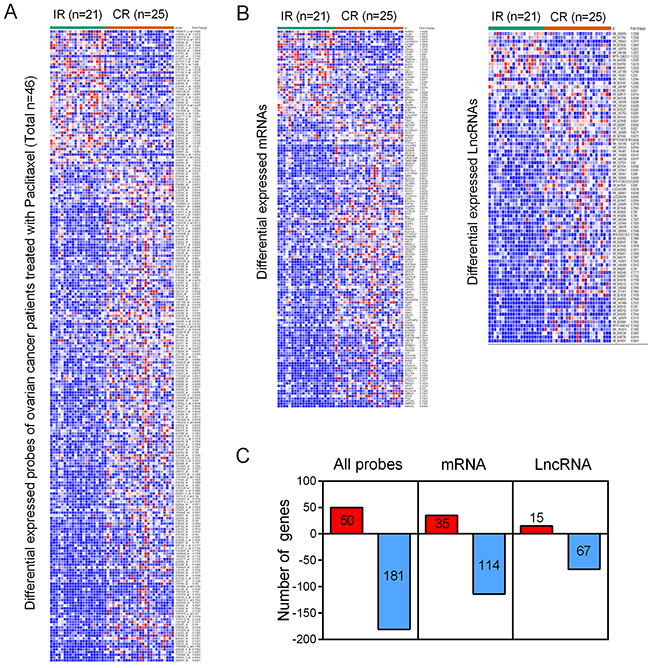 Identification of differentially expressed genes from the EOC dataset GSE30161.