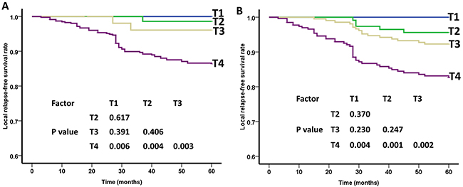 Local relapse-free survival (LRFS) curves of nasopharyngeal carcinoma patients for different T categories.