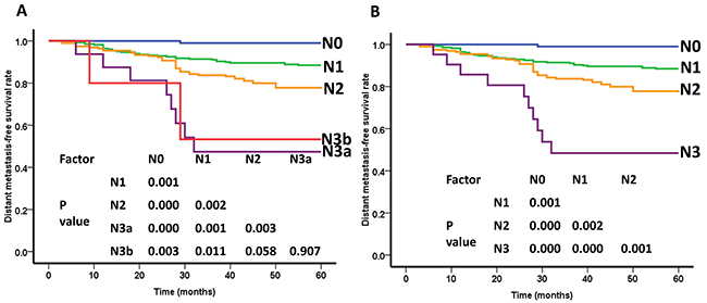 Distant metastasis-free survival(DMFS) curves of nasopharyngeal carcinoma patients for different N categories.