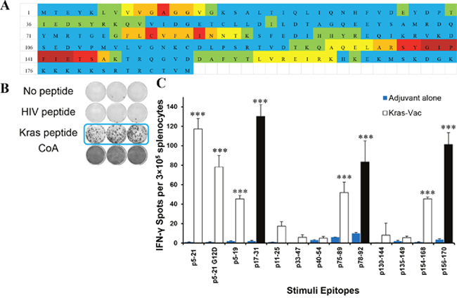 In vivo screen for peptide candidates by ELISPOT in na&#x00EF;ve mice.