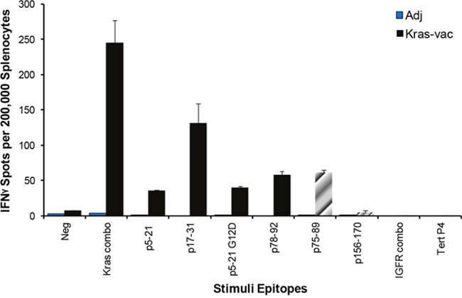 Epitope spreading tested by IFN-&#x03B3; ELISPOT.