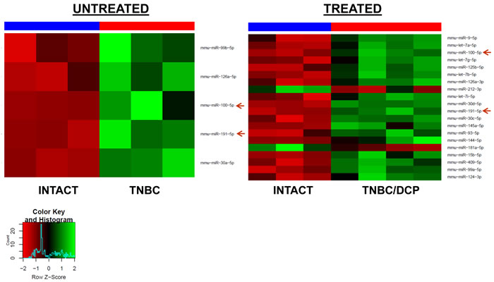 Heatmaps of microRNAs differentially expressed in the PFC tissues of the TNBC untreated and TBNC/DCP mice as compared to intact controls.