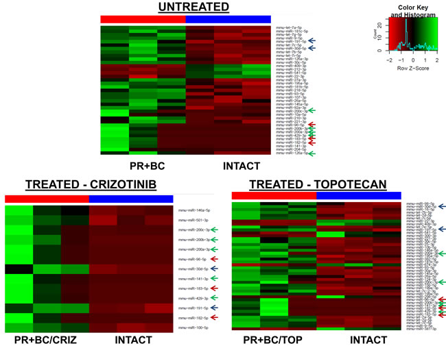 Heatmaps of microRNAs differentially expressed in the PFC tissues of the PR+BC untreated, PR+BC/CRIZ and PR+BC/TOP mice as compared to intact controls.