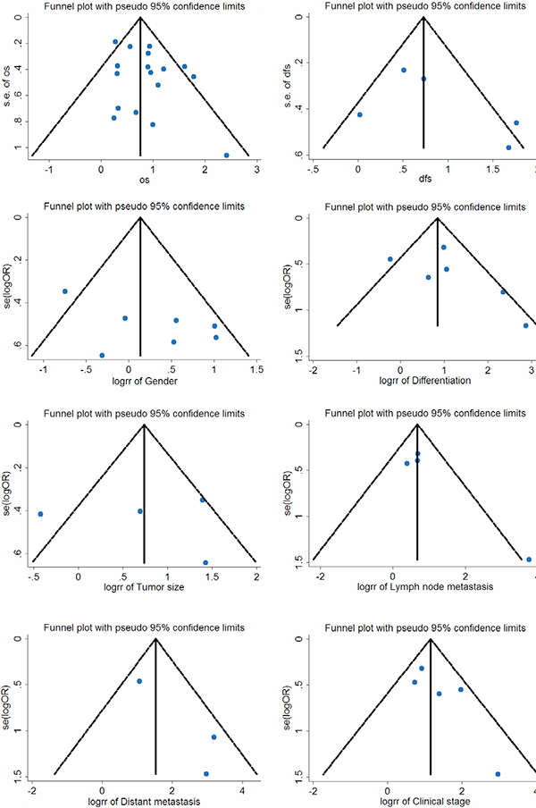 Funnel plot for the assessment of potential publication bias regarding OS, DFS and clinicopathological features of patients in the meta-analysis.